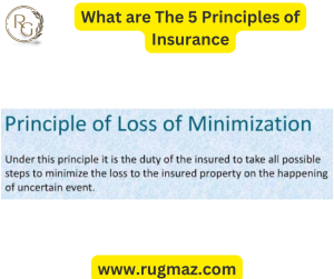 loss minimization in insurance