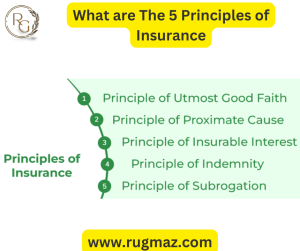 What are The 5 Principles of Insurance