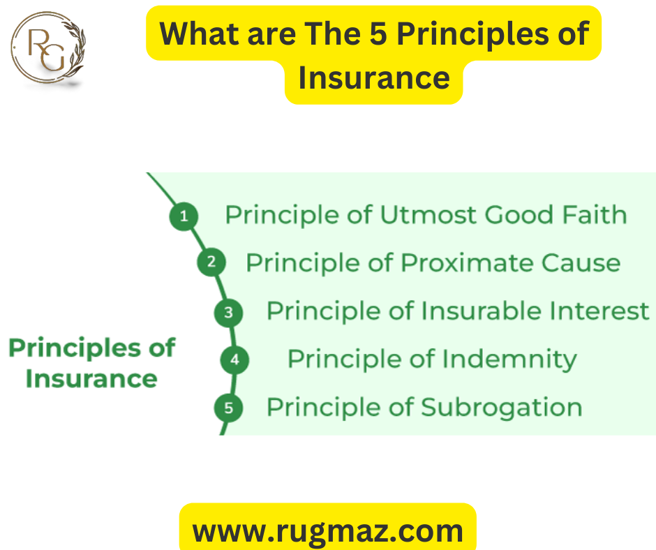 Top 5 Principles Of Insurance In USA - Rugmaz