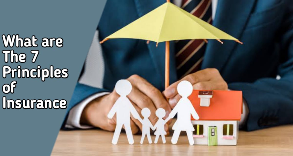 What are The 5 Principles of Insurance