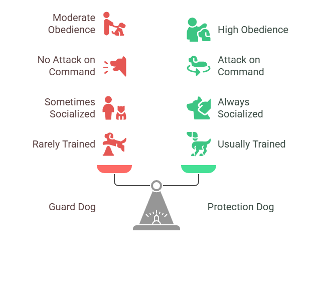 Infographic comparing guard dogs and trained dogs in Home Protection Dog Training